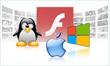 flash casino